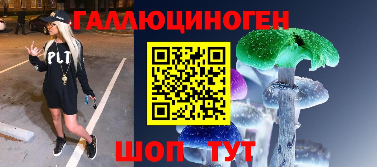 Новозыбков  Псилоцибиновые грибы Magic Shrooms  Вход с VPN 