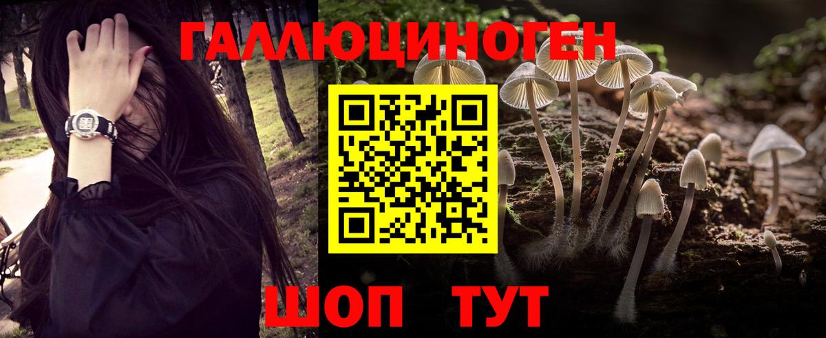 Галлюциногенные грибы Psilocybine cubensis Новозыбков